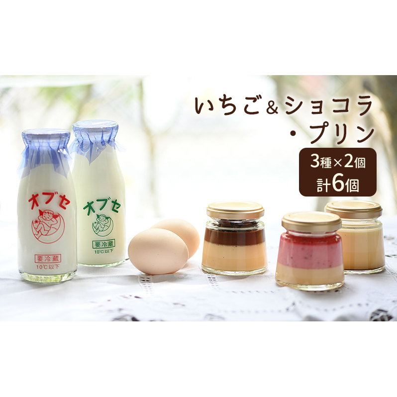 いちご&ショコラ・プリン6個 セット お菓子 詰合せ スイーツ デザート 笑顔 手作り 美味しい こだわり 卵 ミルク コク 牛乳 最高級 バニラビーンズ 長野県長野市14000菓子・スイーツプリン