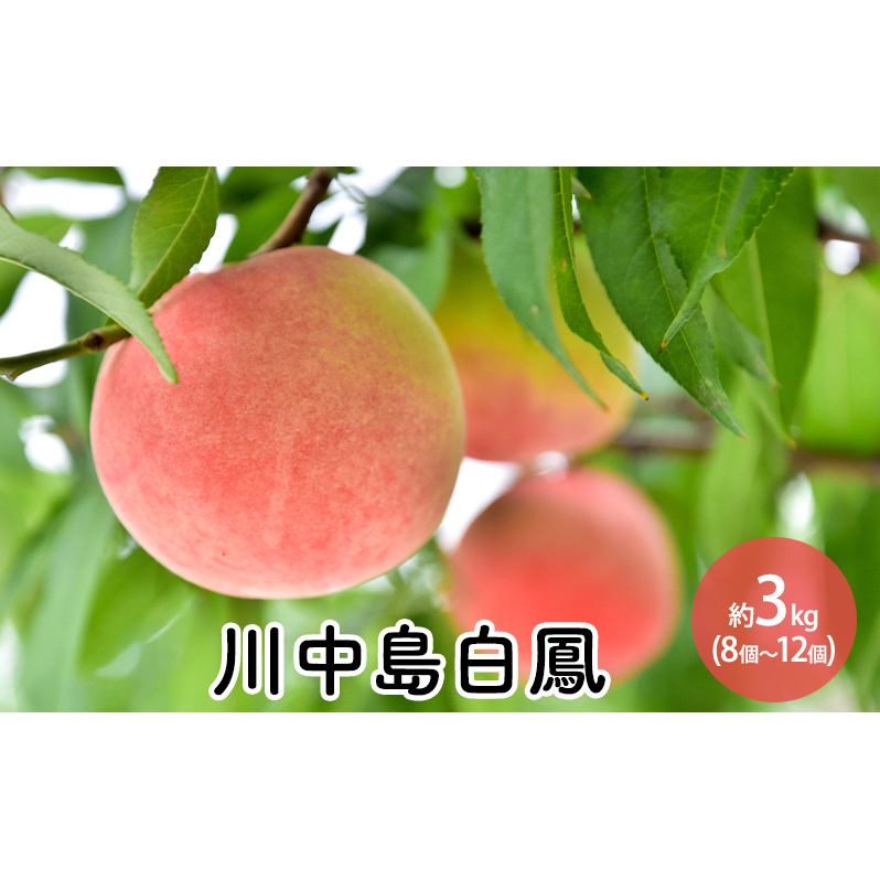 쒆P3kgi8`12j 쌧s18000ʕEt[cE