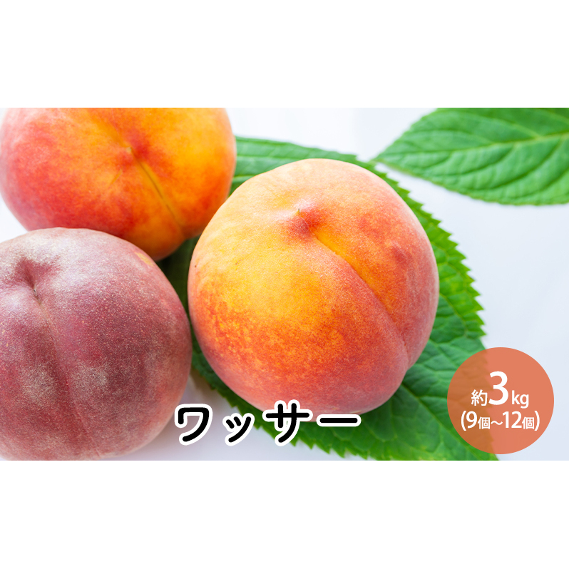 bT[3kgi9`12j 쌧s19000ʕEt[cE