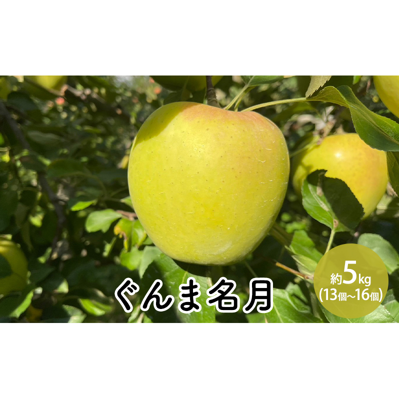 ぐんま名月約5kg(13個〜16個) 長野県長野市19000果物・フルーツりんご・梨