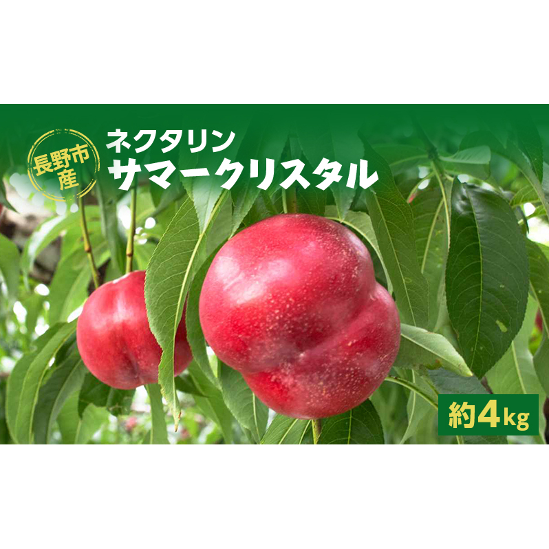sYlN^uT}[NX^v4kg 쌧s24000ʕEt[cE