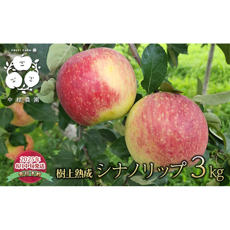 先行予約 りんご 3kg 樹上熟成 シナノリップ 林檎 リンゴ 果物 くだもの フルーツ 旬の果物 旬のフルーツ 季節の果物 季節のフルーツ 美味しい果物 長野県産 長野県産りんご 信州 長野 長野