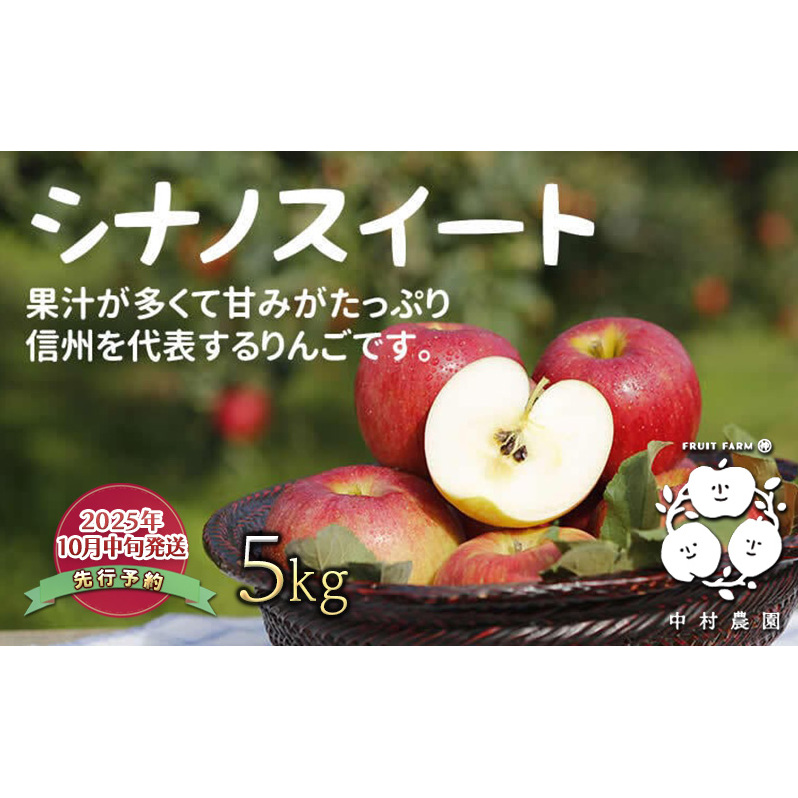 先行予約 りんご 5kg 樹上熟成 シナノスイート 林檎 リンゴ 果物 くだもの フルーツ 旬の果物 旬のフルーツ 季節の果物 季節のフルーツ 美味しい果物 長野県産 長野県産りんご 信州 長野 長