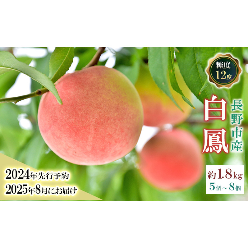 s\ P 1.8kg x12x ICό    t[c ʕ  쌧 쒆Y  ͂F2025N8{`{ 񂹒쌧s17000ʕEt[c