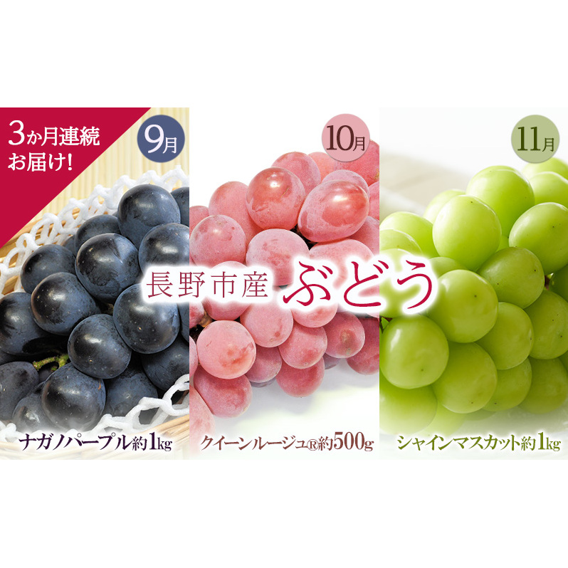 sYԂǂ3A͂Iy1ځziKmp[v1kgy2ځzNC[[W?500y3ځzVC}XJbg1kg2025N9`11܂Ŕ쌧s50000ʕEt