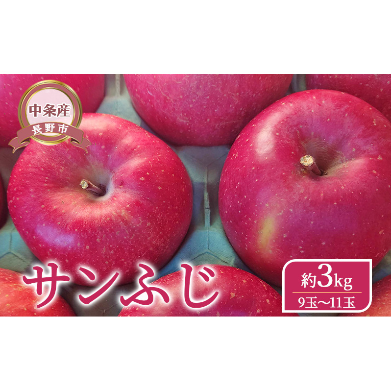 【長野市】【中条産】【りんご】サンふじ約3kg(9玉〜11玉)信州りんご リンゴ 林檎 果物 くだもの フルーツ 信州 長野長野県長野市12000果物・フルーツりんご・梨