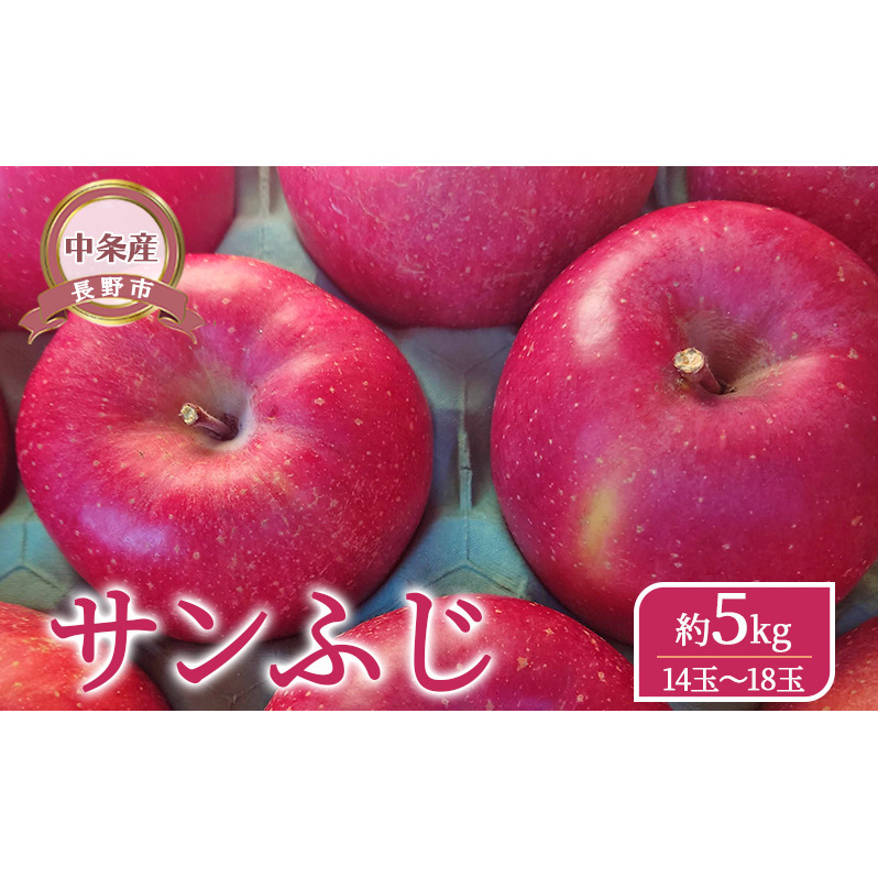 【長野市】【中条産】【りんご】サンふじ約5kg(14玉〜18玉)信州りんご リンゴ 林檎 果物 くだもの フルーツ 信州 長野長野県長野市16000果物・フルーツりんご・梨