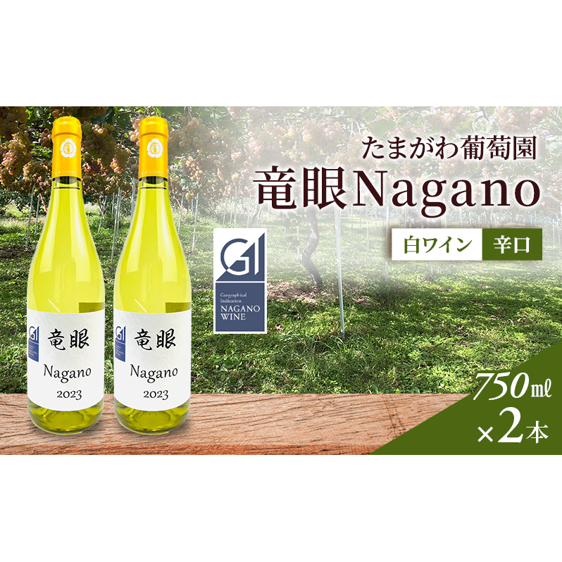 C@Nagano@yGIzF@2{Zbg s C쌧s25000EAR[C