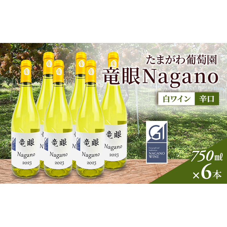 ワイン 竜眼Nagano 【GI長野】認定 6本セット 長野市 白ワイン長野県長野市66000酒・アルコールワイン