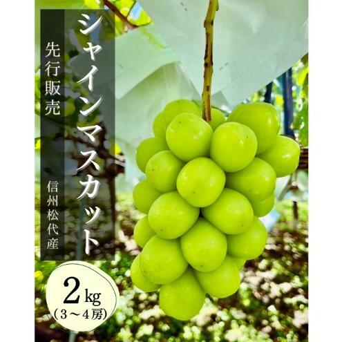 Ԃǂ VC}XJbg2kg ʕ MB 쌧 s 쌧s28000ʕEt[c}XJbgEԂǂ