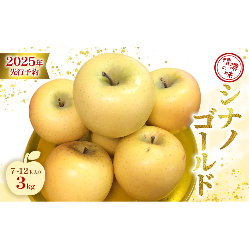 信濃の味 シナノゴールド 3kg 7玉〜12玉入り長野県長野市15000果物・フルーツりんご・梨