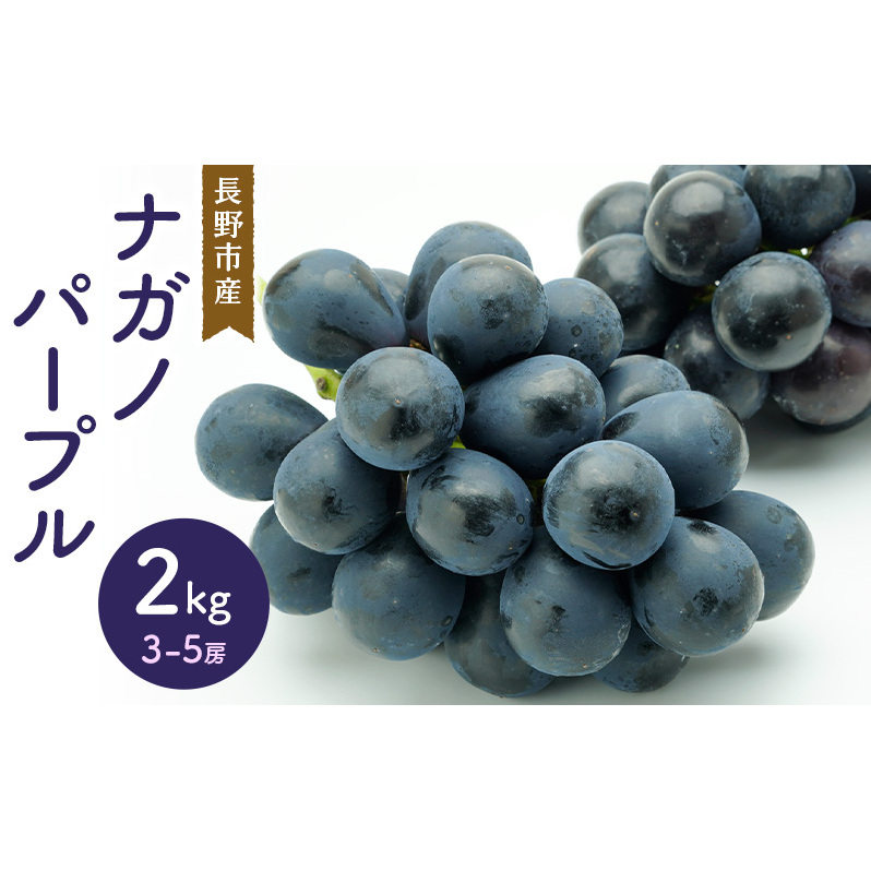 iKmp[v 2kg 3-5[ sY t[c ʕ Ԃǂ zs:A쌧s28000ʕEt[c}XJbgEԂǂ