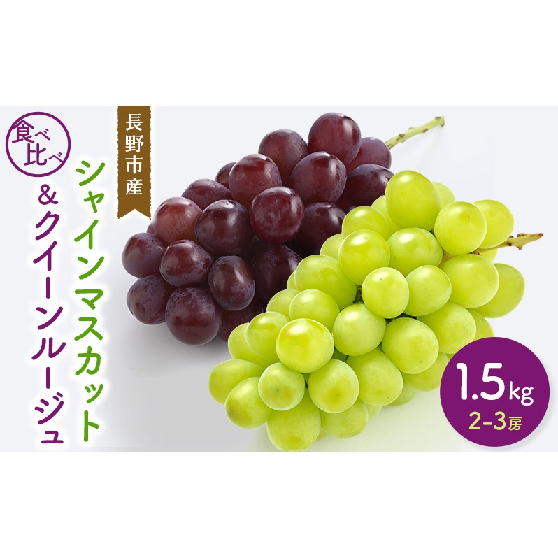 VC}XJbg&NC[[W? 1.5kg 2-3[ Hה sY t[c ʕ Ԃǂ zs:A쌧s20000ʕEt[c}XJbgEԂǂ