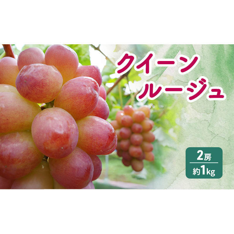 NC[[W? 2[ 1kg Ԃǂ  t[c ʕ s쌧s22000ʕEt[c}XJbgEԂǂ