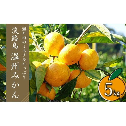 温州みかん 5kg サイズ色々S・M・Lミックス兵庫県淡路市10000果物・フルーツみかん・柑橘類