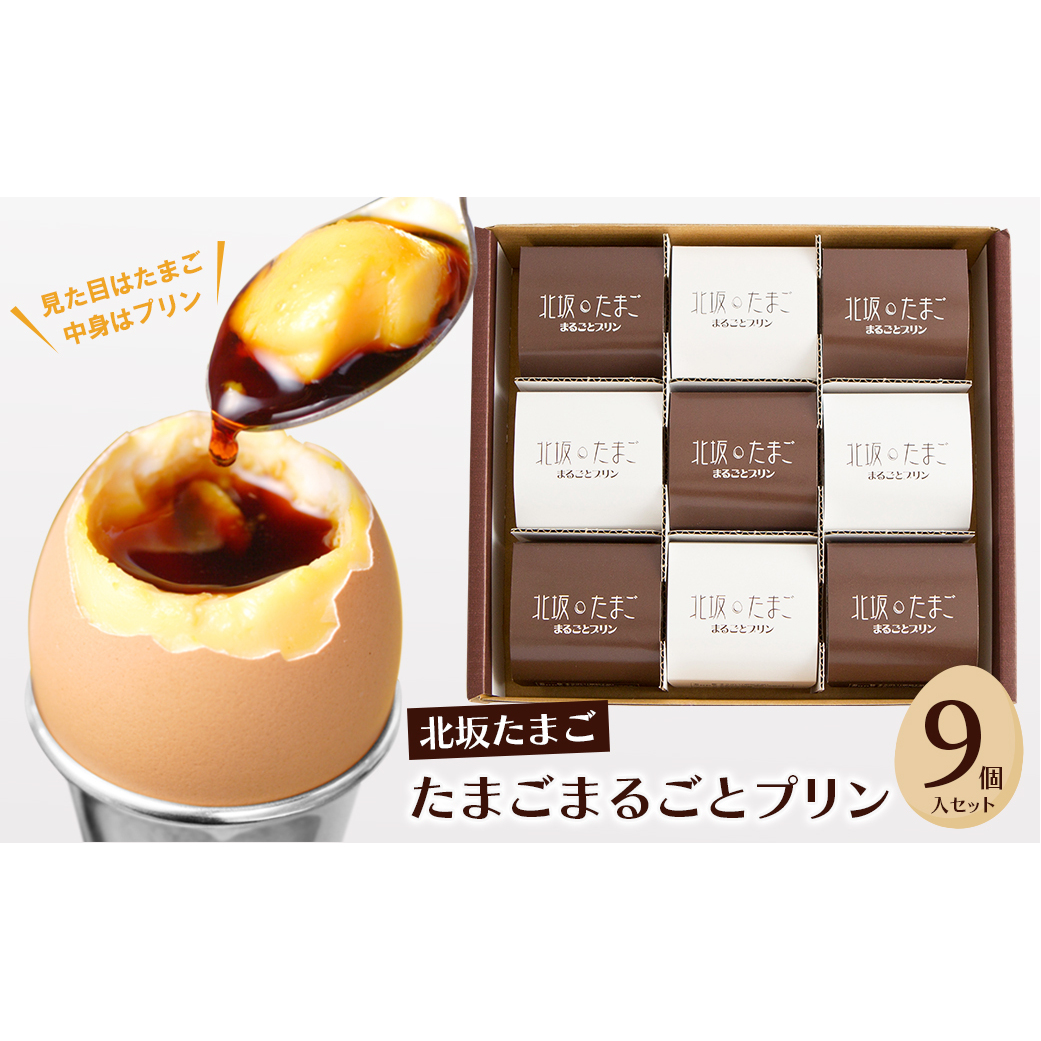北坂たまごまるごとプリン9個入セット兵庫県淡路市12000卵・乳製品その他卵・乳製品