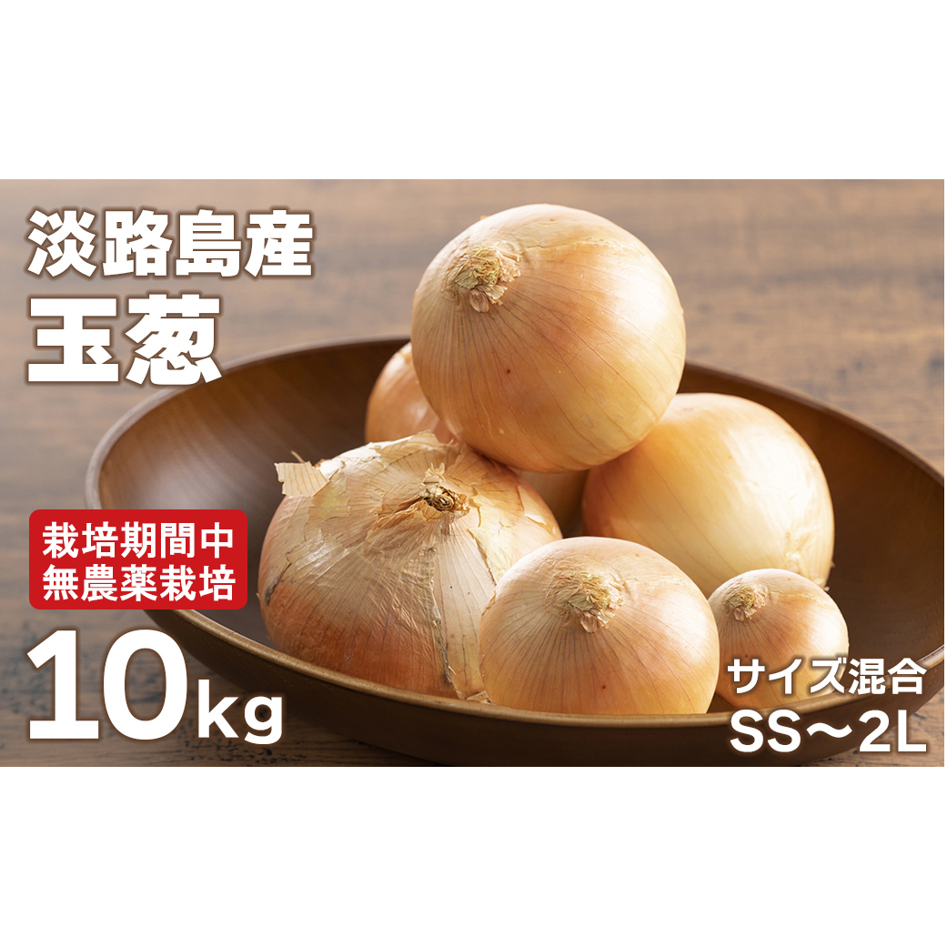 淡路島玉葱 10kg 【栽培期間中、無農薬栽培】サイズ混合SS〜2L兵庫県淡路市12000野菜・きのこ玉ねぎ・ねぎ