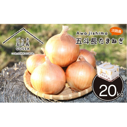 ܓl܂˂ 20kgi20kg×1j@@[ʂ˂ WH ʔK]ɌWHs18000؁Êʂ˂E˂