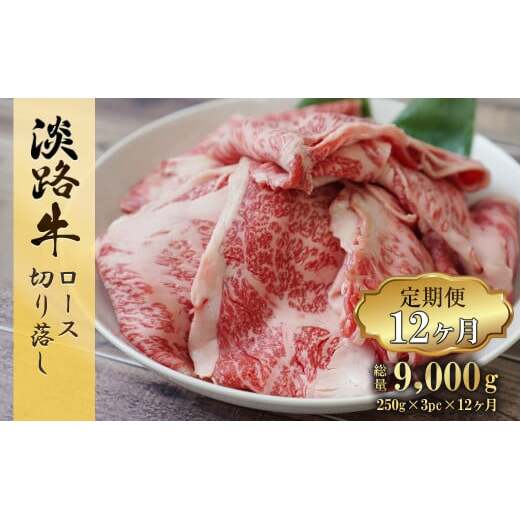 y12z WH [X؂藎 750g (250g×3pbN)@[ Ⓚ  lC]ɌWHs144000