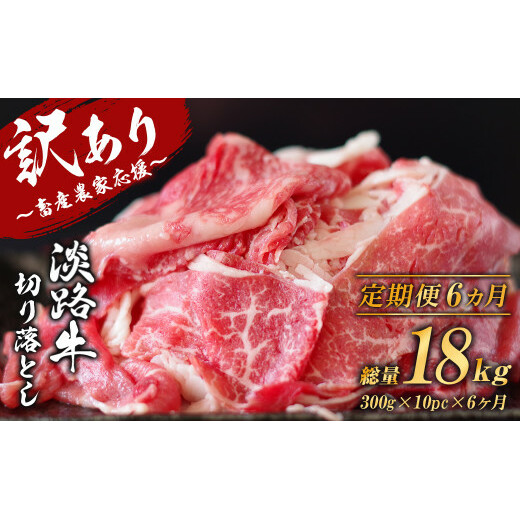 y󂠂zy6zWH ؂藎 3kg (300g×10pbNj@[ Ⓚ  lC]ɌWHs168000