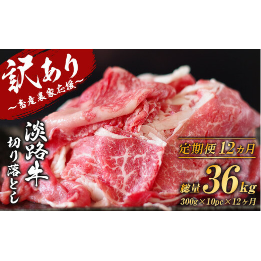 y󂠂zy12zWH ؂藎 3kg (300g×10pbNj@[ Ⓚ  lC]ɌWHs335000