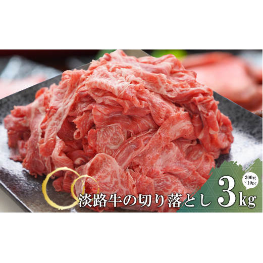 淡路牛の切り落とし3.0kg(300g×10パック)兵庫県淡路市31000肉牛肉