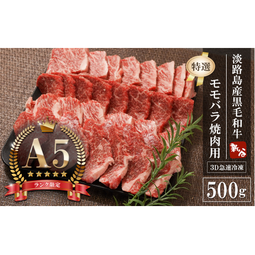 yA5NzWHYјa wIxoēp 500g@@[_˃r[t ēZbg  lC ]ɌWHs22000