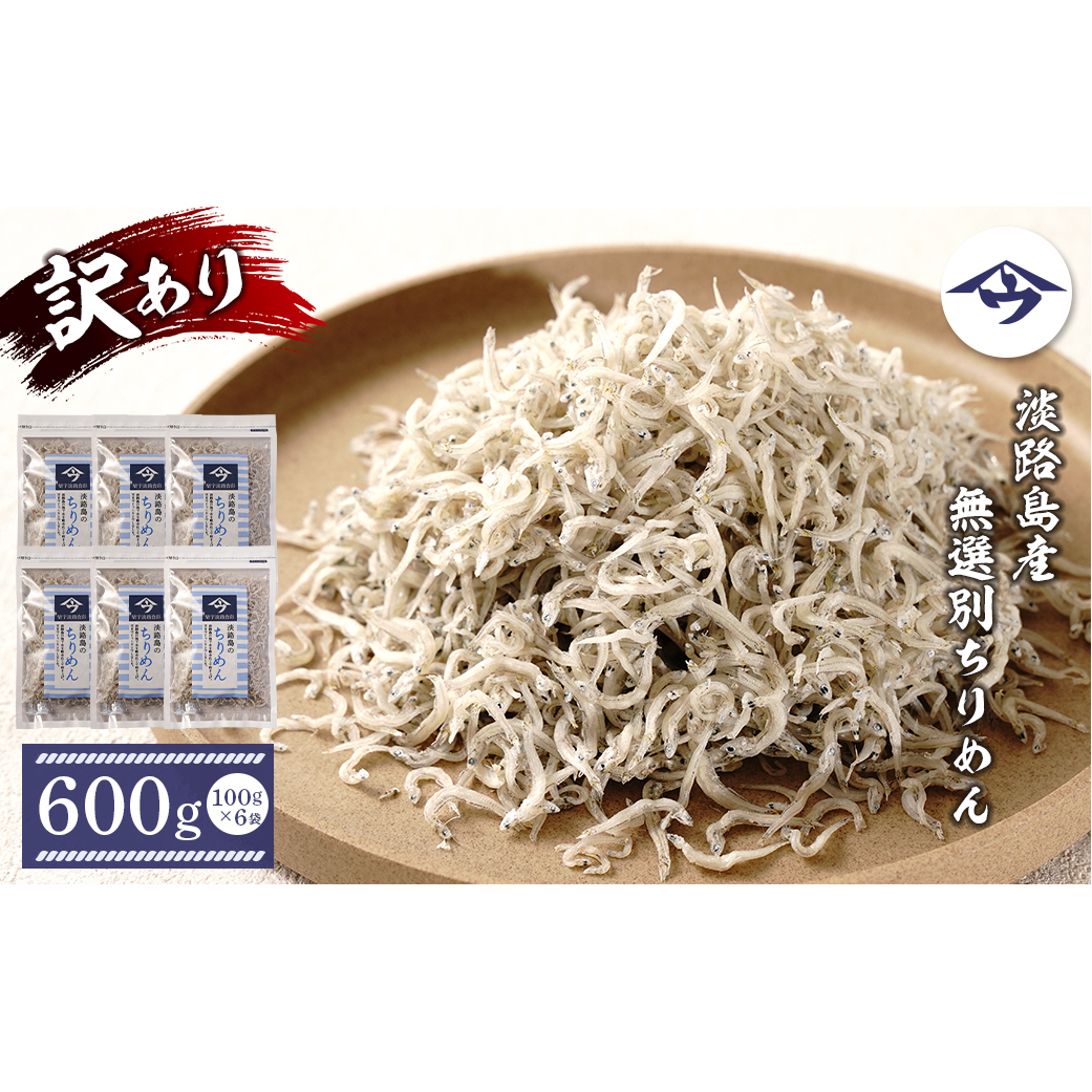 【訳アリ】淡路島産 無選別ちりめん 600g(100g×6袋)兵庫県淡路市10000魚介・海産物干物