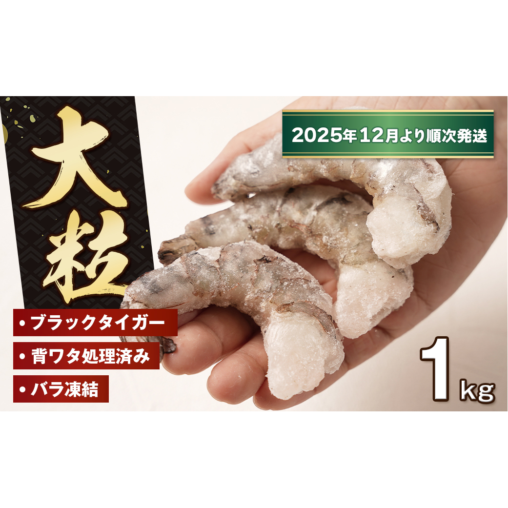 至福の大粒むきえび 背ワタ処理済 1kg【2025年12月より順次発送】 ブラックタイガー 冷凍 ムキエビ  大型 海老兵庫県淡路市13000魚介・海産物エビ