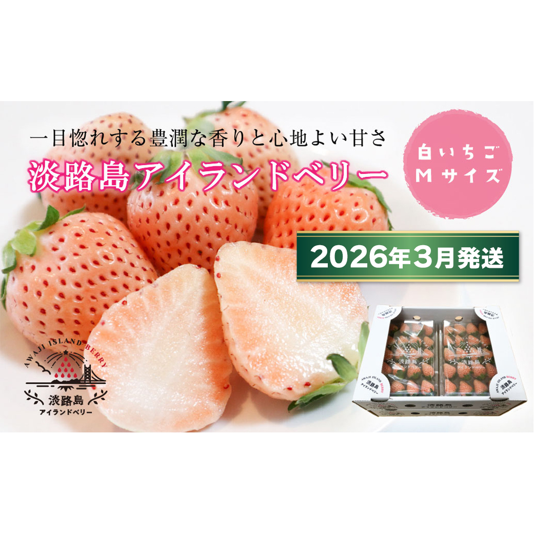 WHAChx[@䕒W@MTCYy2026N3\tE͂wsz@[]ɌWHs10000ʕEt[c