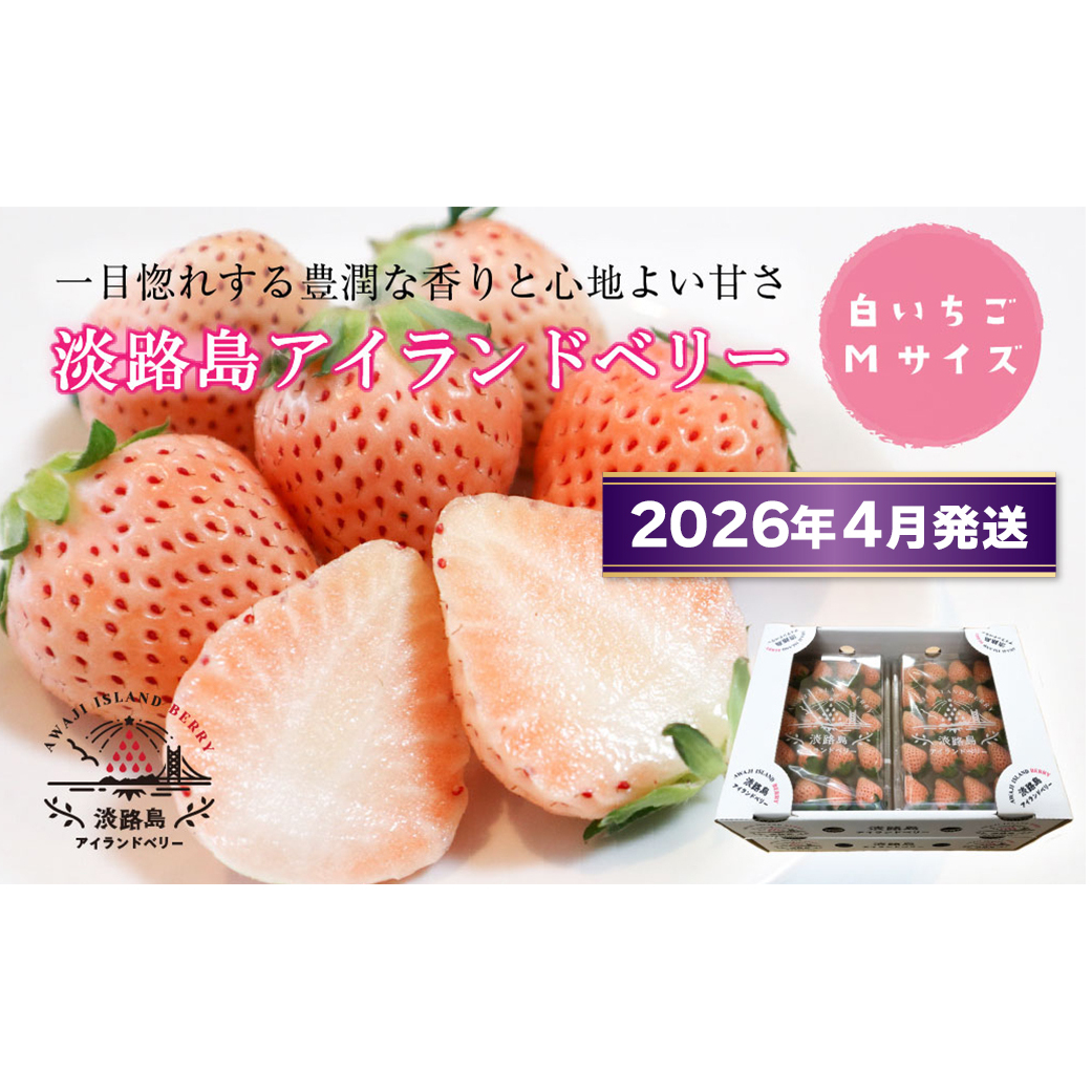 WHAChx[@䕒W@MTCYy2026N4\tE͂wsz@[]ɌWHs10000ʕEt[c
