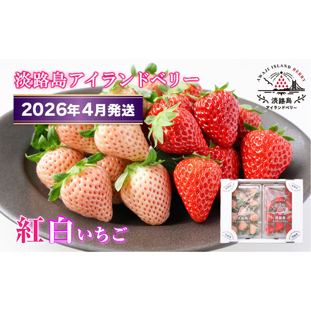 WHAChx[@g@W/ƂƂ߁y2026N4\tE͂wsz@[]ɌWHs10000ʕEt[c