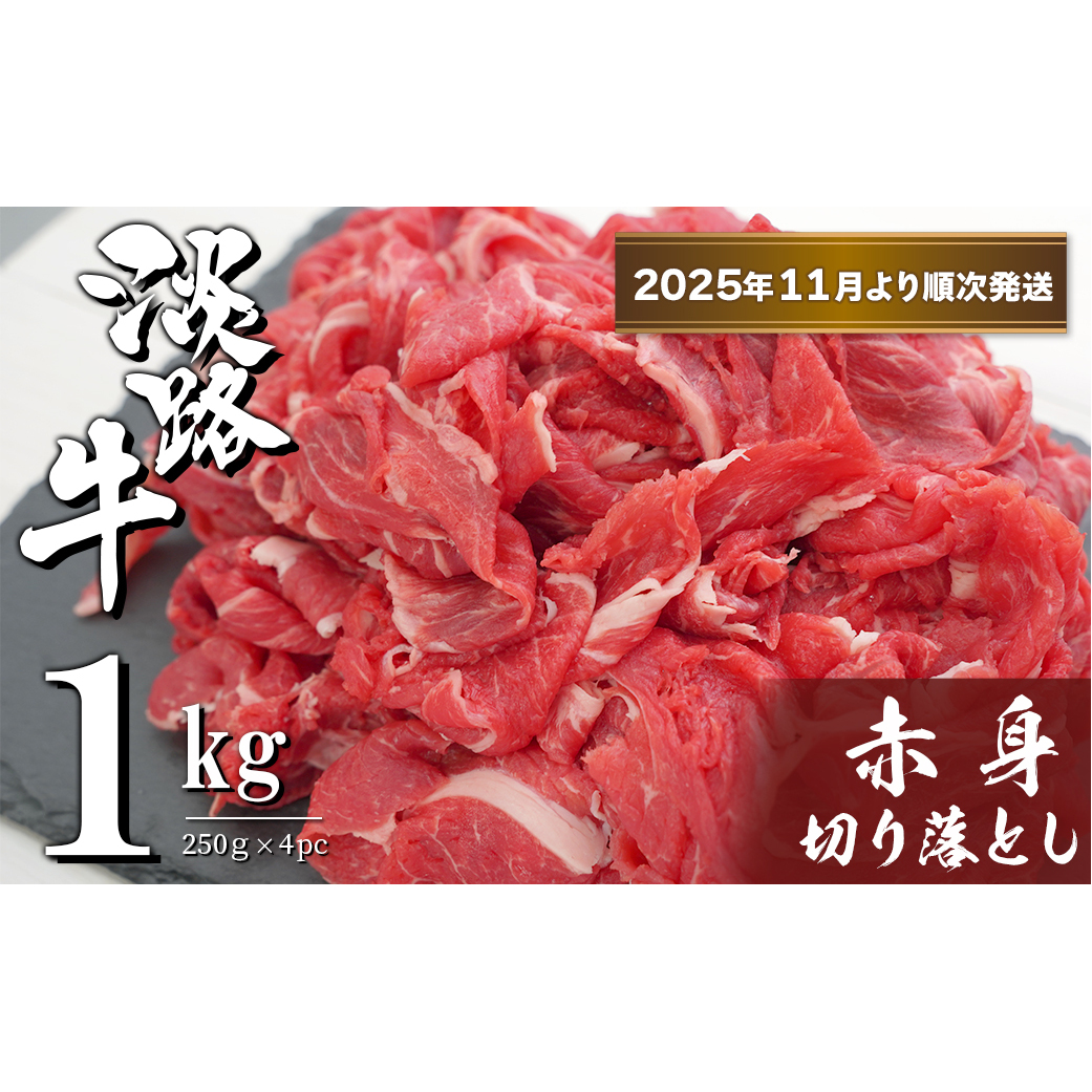 WH Ԑg؂藎Ƃ 1kgi250×4PCjy2025N11菇z@@[  Ⓚ]ɌWHs12000