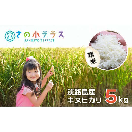 令和7年度 淡路島産キヌヒカリ 5kg (精米)兵庫県淡路市17000米・パン白米