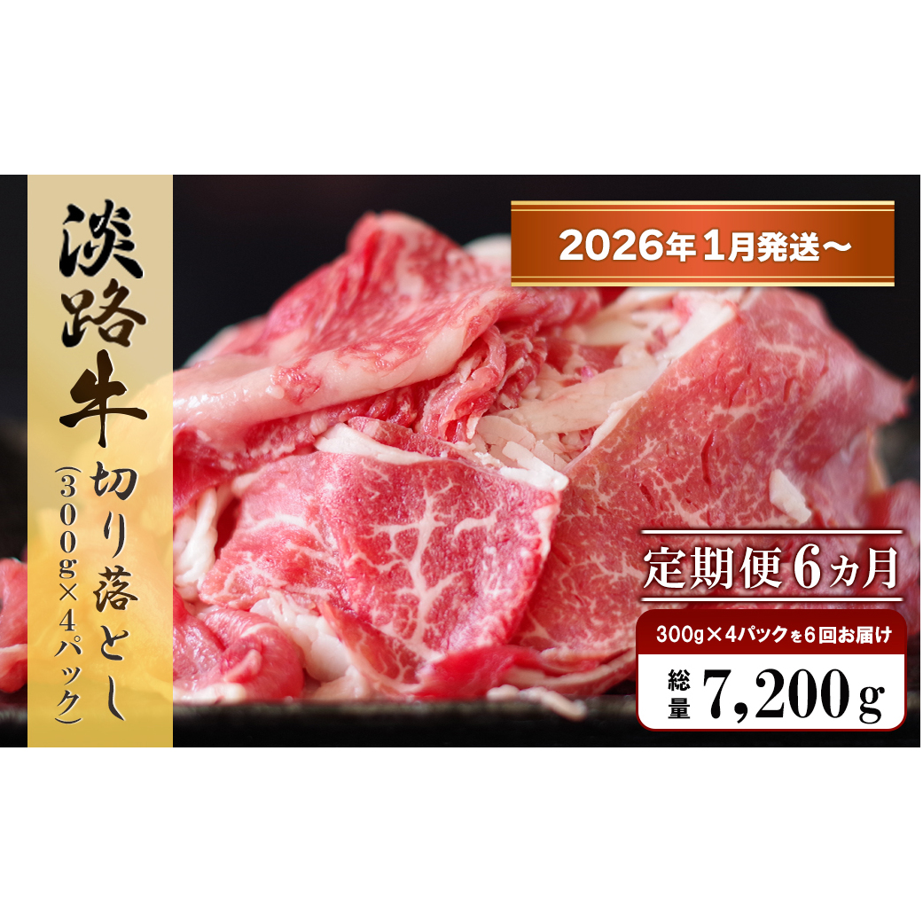 y62026N1`zWH ؂藎@1.2kg (300g×4pbNjɌWHs72000