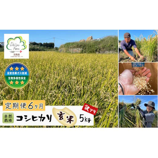 【定期便6ヶ月】自然栽培 コシヒカリ(玄米) 5kg 《無選別品のため訳アリ》兵庫県淡路市103000米・パン玄米・雑穀米・もち米・餅