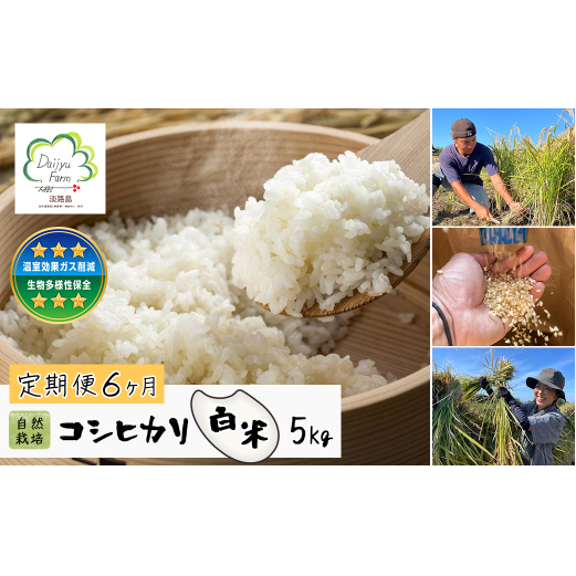 【定期便6ヶ月】自然栽培 コシヒカリ(白米) 5kg兵庫県淡路市105000米・パン白米