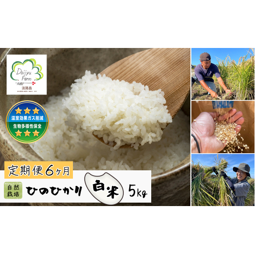 【定期便6ヶ月】自然栽培 ひのひかり(白米) 5kg兵庫県淡路市105000米・パン白米