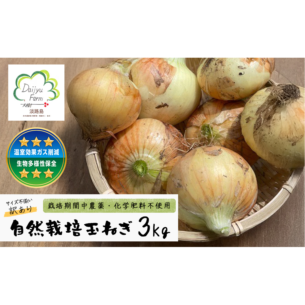 自然栽培玉ねぎ 3kg 《大小様々なサイズのため訳あり》兵庫県淡路市8000野菜・きのこ玉ねぎ・ねぎ