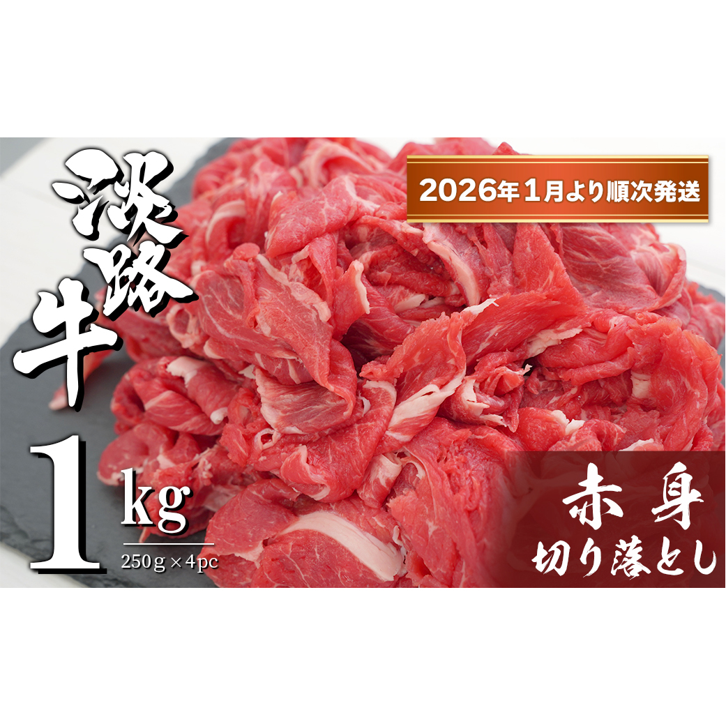 WH Ԑg؂藎Ƃ 1kgi250×4PCjy2026N1菇z@@[  Ⓚ]ɌWHs12000