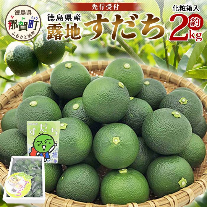 ystz񂾋CƐ炩Ȑň In 2kg (2LTCY/1kg×2)u2025N8{菇vy ߉꒬ Y I  X_` |k k ʕ  Yi ʏ`
