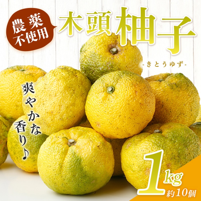 【10月末頃より随時発送】栽培期間中農薬・化学肥料不使用栽培の木頭柚子(黄玉)1kg 【徳島県 那賀町 木頭地区 徳島 那賀 木頭 木頭ゆず 木頭ユズ 木頭柚子 ゆず ユズ 柚子 果実 果物 柑橘