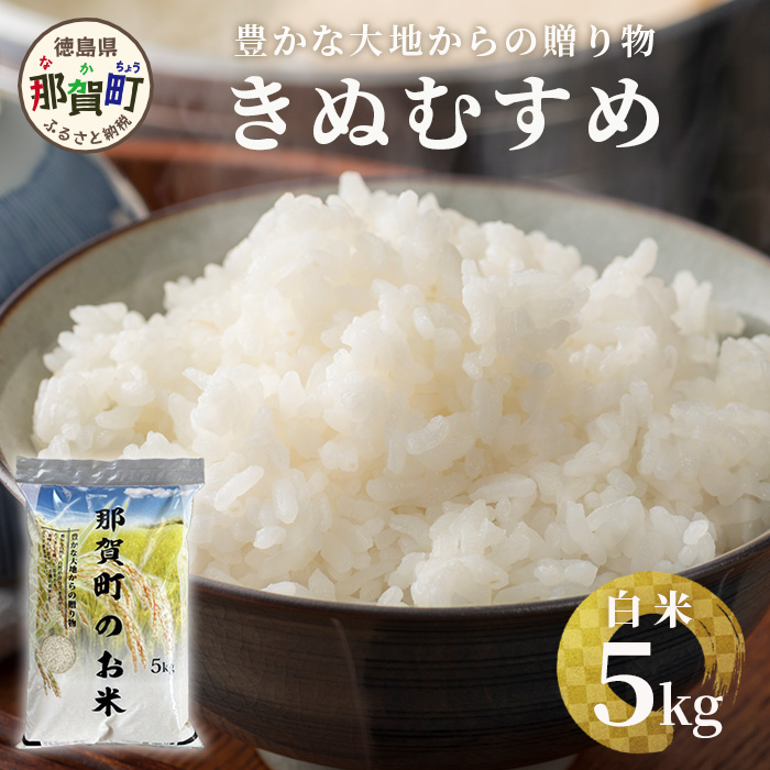 「令和6年産 新米 先行受付」 那賀町相生産 きぬむすめ 白米 5kg 1袋 「2024年10月上旬より発送」 【徳島 那賀 国産 徳島県産 お米 こめ おこめ 米 ご飯 ごはん 白ご飯 白米 5キロ 和食 おにぎり