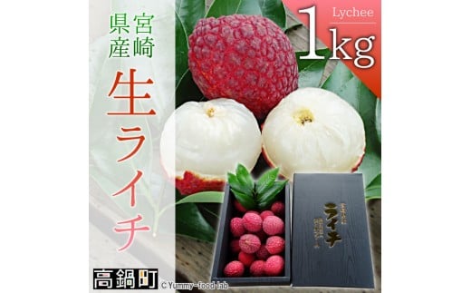 【先行予約】<宮崎県産ライチ1kg>2026年7月中に順次出荷 ライチ 果物 フルーツ 宮崎県 高鍋町宮崎県高鍋町25000果物・フルーツその他 果物・フルーツ