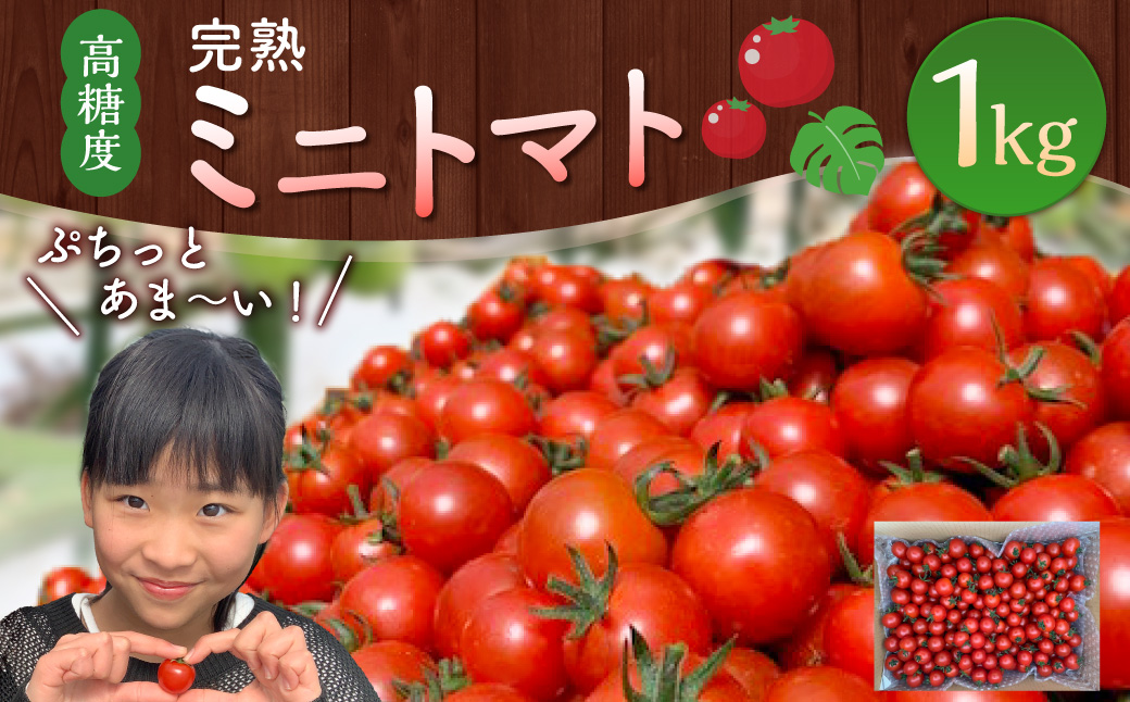 <「完熟ミニトマト」ミニトマト 1kg>2024年5月下旬迄に順次出荷 野菜ソムリエサミット アルル・リリカ共に銀賞受賞!!(2023年11月開催)1回食べてみらんね?宮崎県 高鍋町産 産地直送 有機