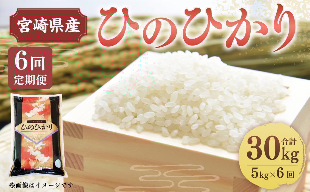 <6ヶ月定期便 宮崎県産ひのひかり5kg>お申込みの翌月下旬頃に第一回目発送(12月は中旬頃)宮崎県高鍋町58000米・パン白米
