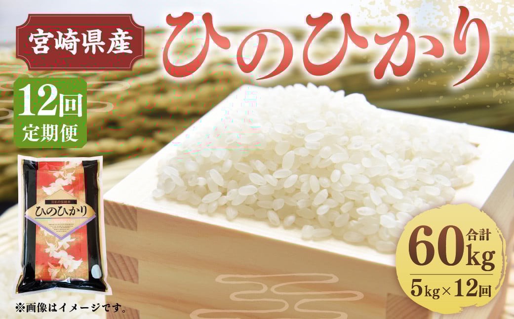 <12ヶ月定期便 宮崎県産 ひのひかり 5kg>お申込みの翌月下旬頃に第一回目発送(12月は中旬頃)宮崎県高鍋町113000米・パン白米