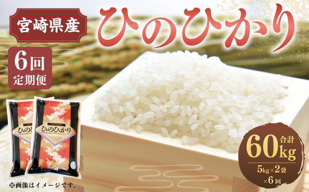 <6ヶ月定期便 宮崎県産ひのひかり10kg>お申込みの翌月下旬頃に第一回目発送(12月は中旬頃)宮崎県高鍋町100000米・パン白米