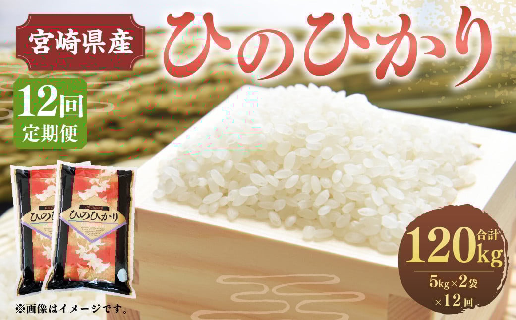 <12ヶ月定期便 宮崎県産 ひのひかり 10kg>お申込みの翌月下旬頃に第一回目発送(12月は中旬頃)宮崎県高鍋町197000米・パン白米