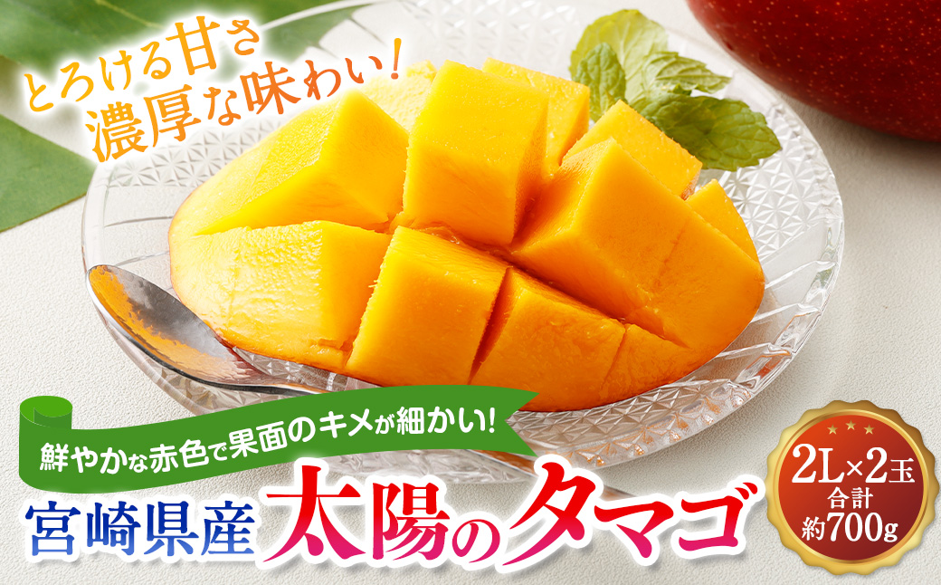 <宮崎県産 太陽のタマゴ 2L×2玉 (合計約700g)>2024年5月中旬〜7月下旬迄に順次出荷宮崎県高鍋町25000果物・フルーツマンゴー・パイナップル